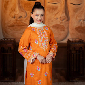Embroidered Jacquard Suit – Zafran for girls — Rangooz