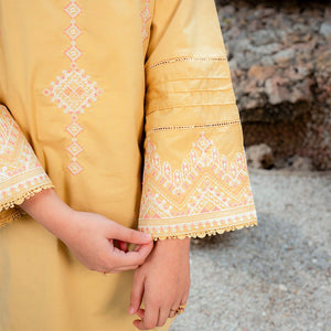 Embroidered Cotton Suit – Zard for girls — Rangooz