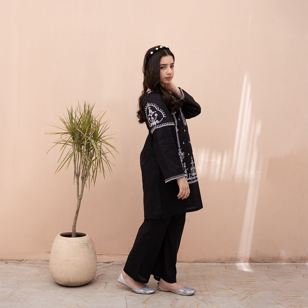 Embroidered Cotton Lawn Suit – Shaam