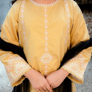 Embroidered Cotton Suit – Zard for girls — Rangooz
