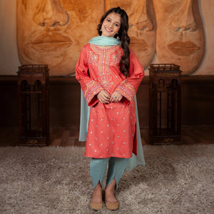 Embroidered Jacquard Suit – Gulrukh for girls — Rangooz