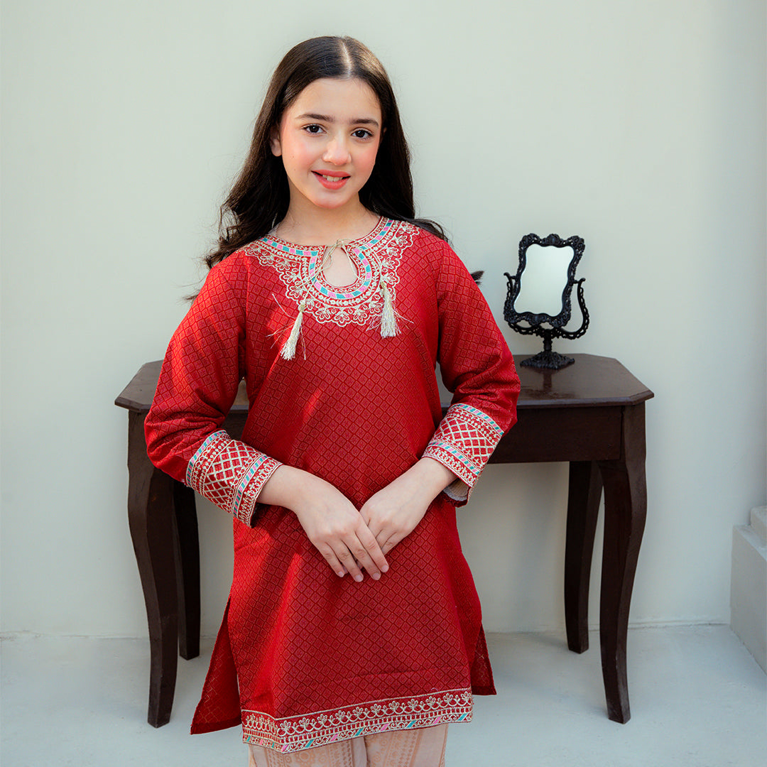 Embroidered Cotton Suit – Gulab