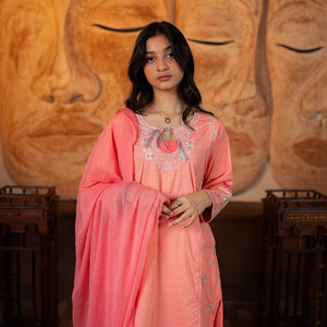 Embroidered Cotton Suit – Sehar for girls — Rangooz