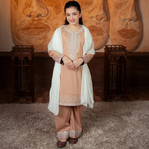 Embroidered Cotton Suit – Noor for girls — Rangooz