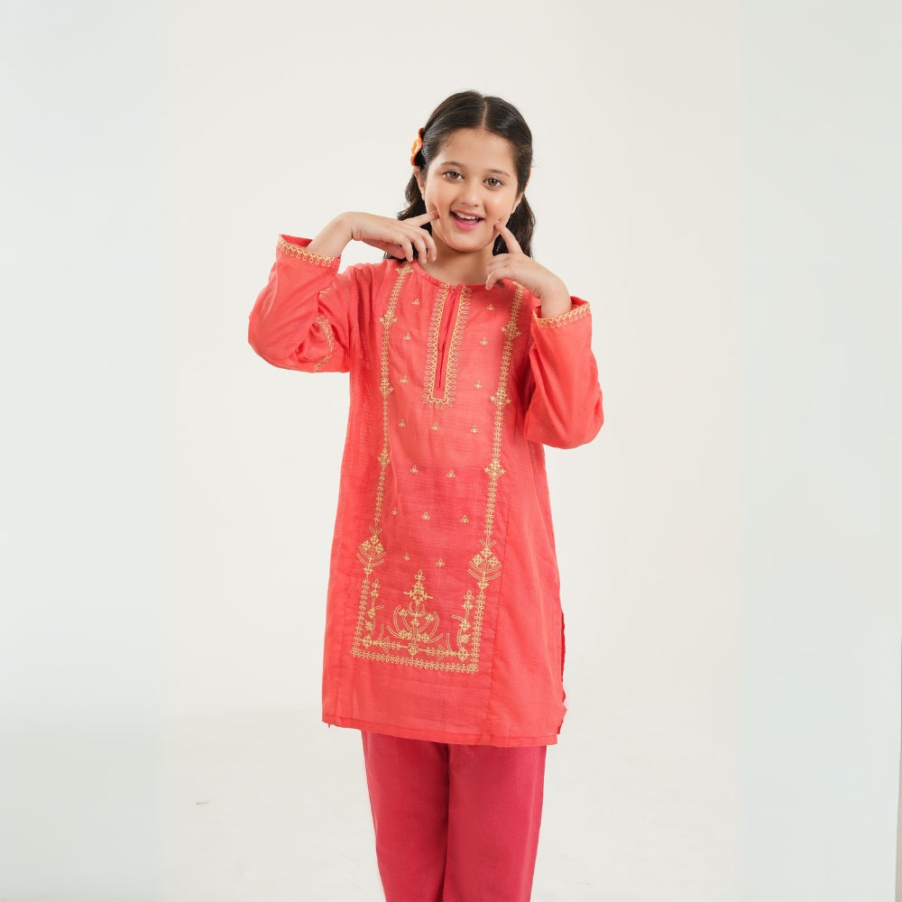 Stylish Embroidered Lawn Suit - CARROT