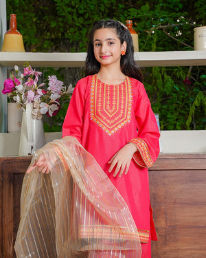 Poodle 3 PC Cotton Lawn Suit for girls — Rangooz