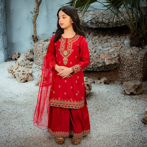 Embroidered Cotton Suit – Surkhnoor for girls — Rangooz