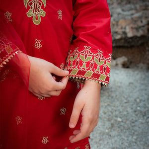 Embroidered Cotton Suit – Surkhnoor for girls — Rangooz