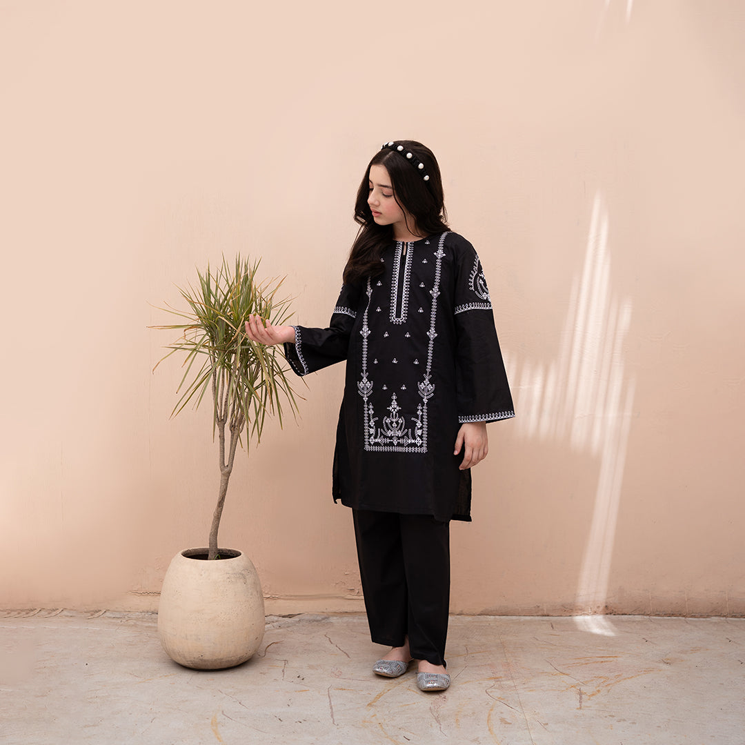 Embroidered Cotton Lawn Suit – Shaam