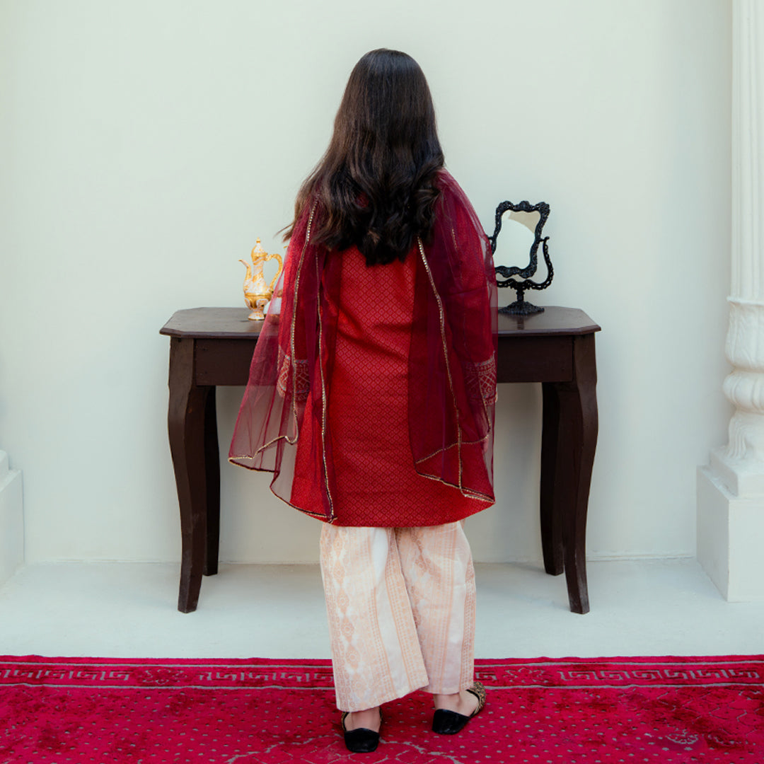 Embroidered Cotton Suit – Gulab