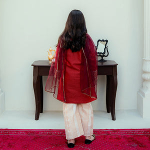 Embroidered Cotton Suit – Gulab for girls — Rangooz