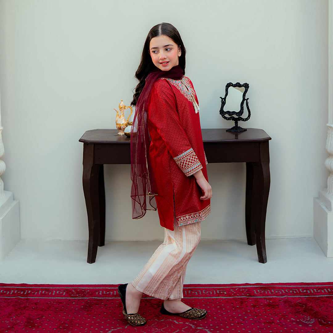 Embroidered Cotton Suit – Gulab