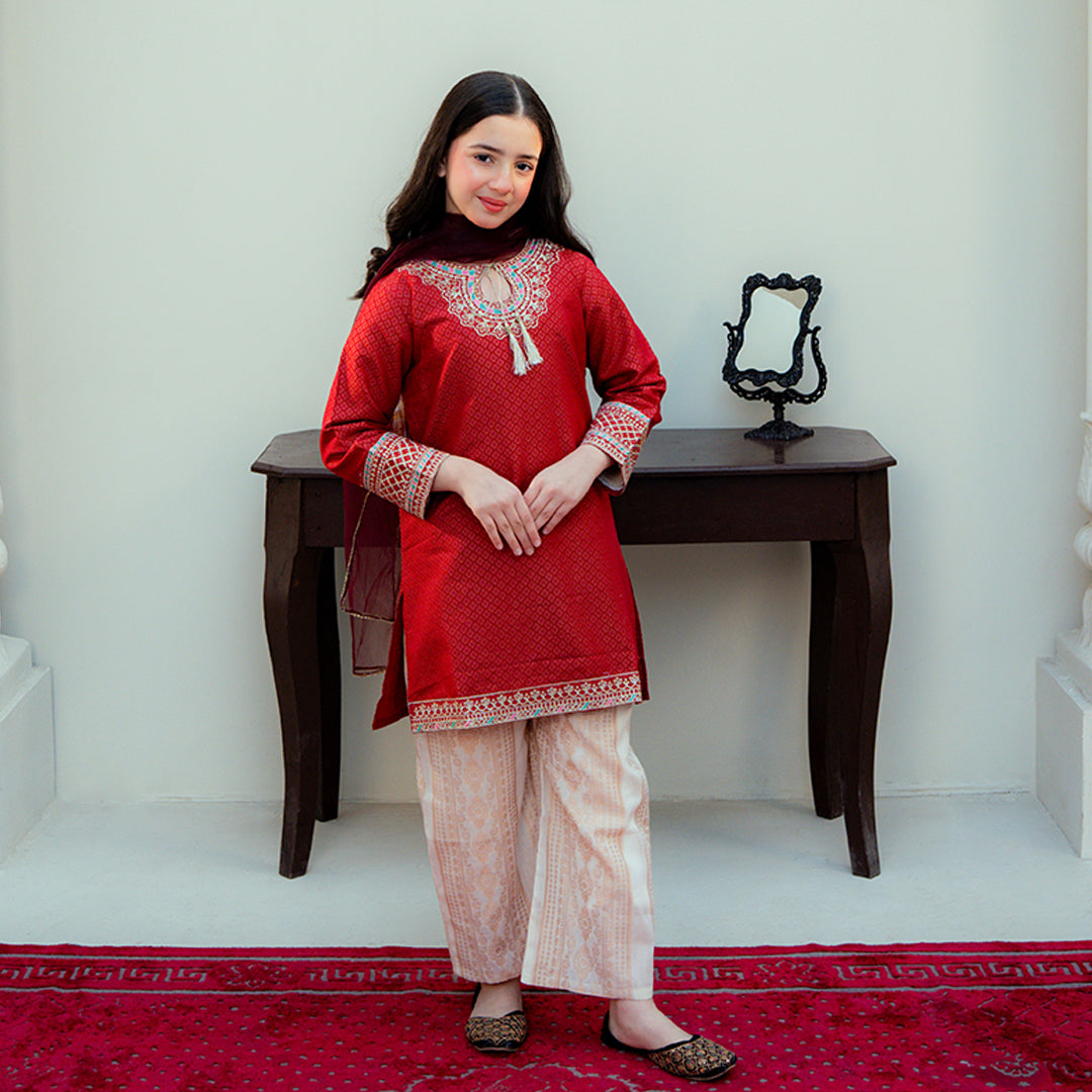 Embroidered Cotton Suit – Gulab