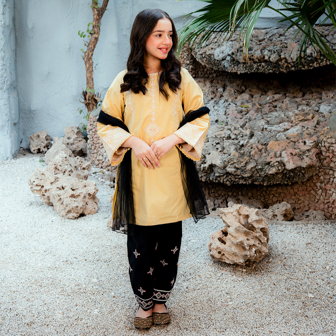 Embroidered  Cotton Suit –Zard