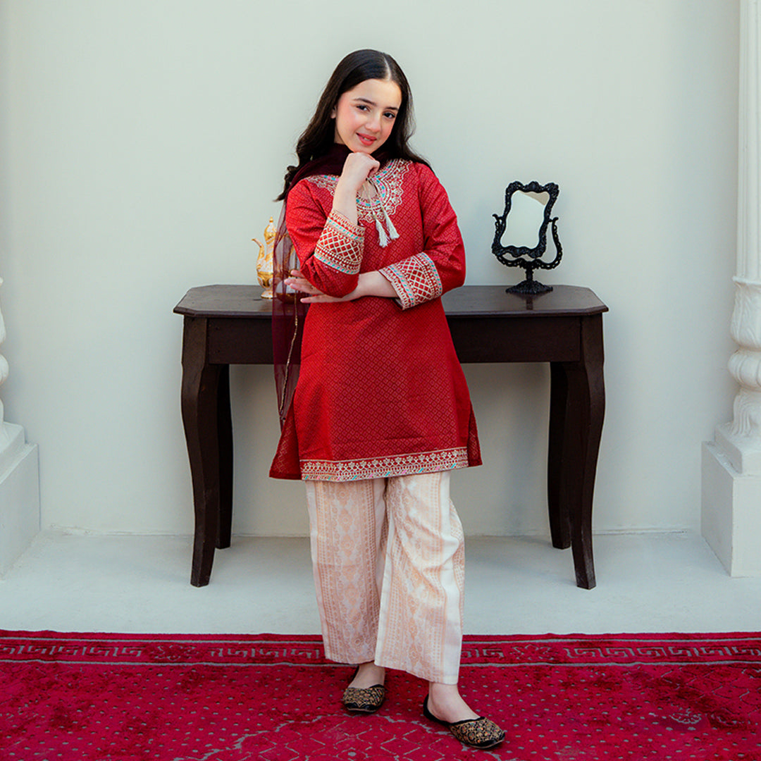 Embroidered Cotton Suit – Gulab