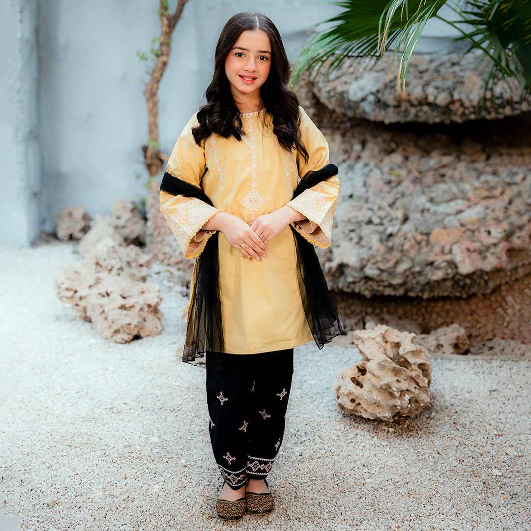 Embroidered  Cotton Suit –Zard