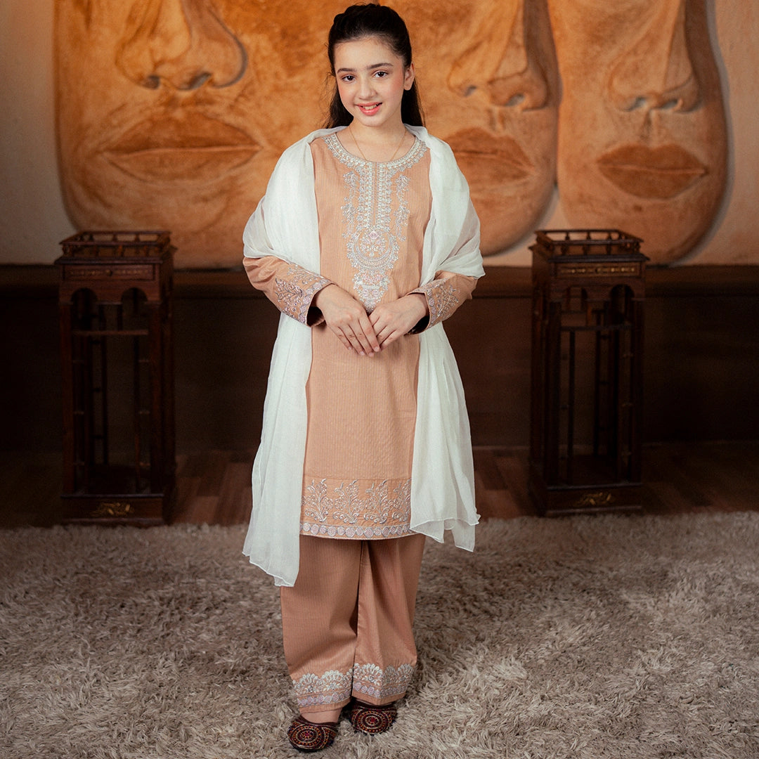 Embroidered Cotton Suit – Noor