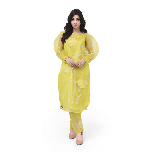 Zaynah – Appliqué Organza Set