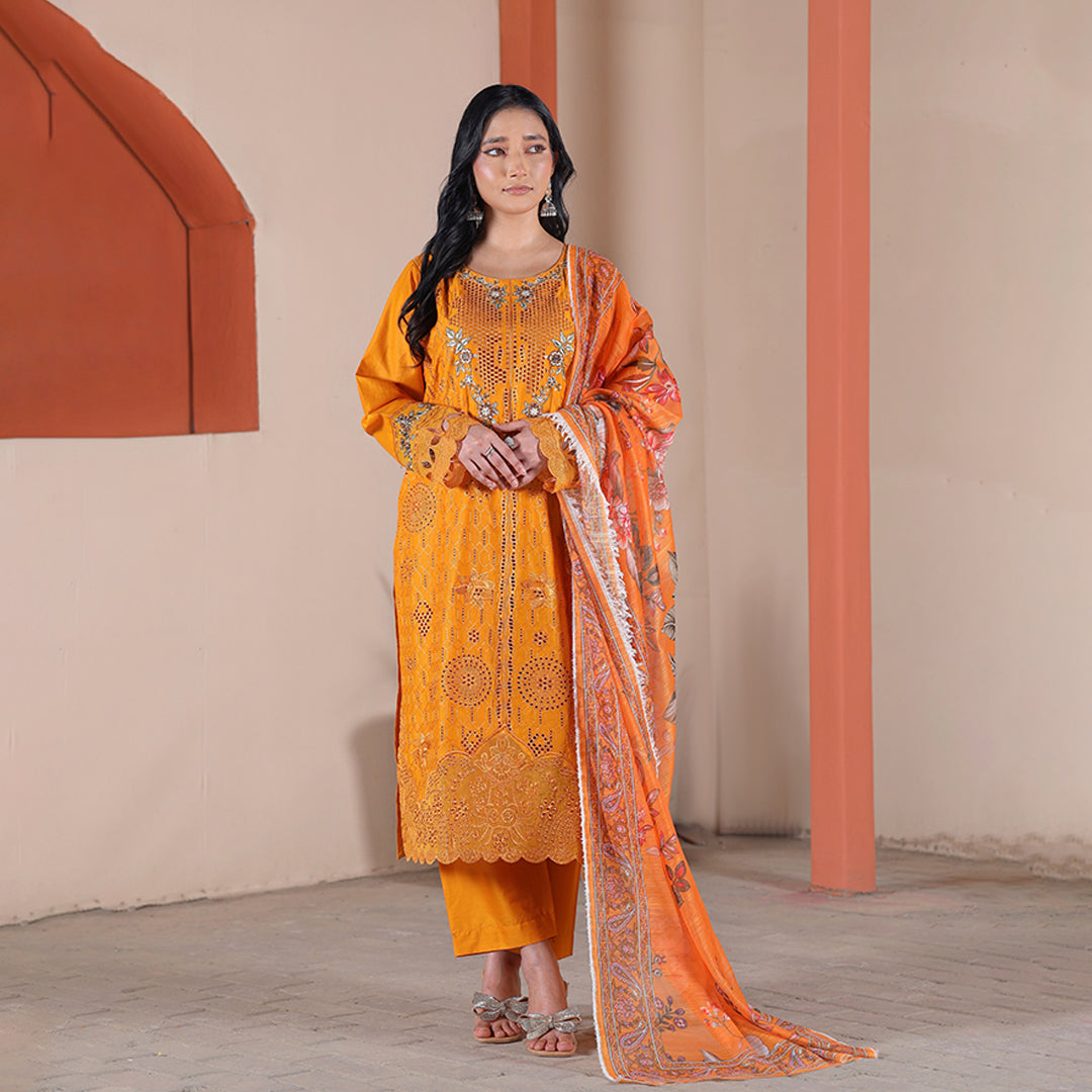 Embroidered Cotton Suit – Zarin