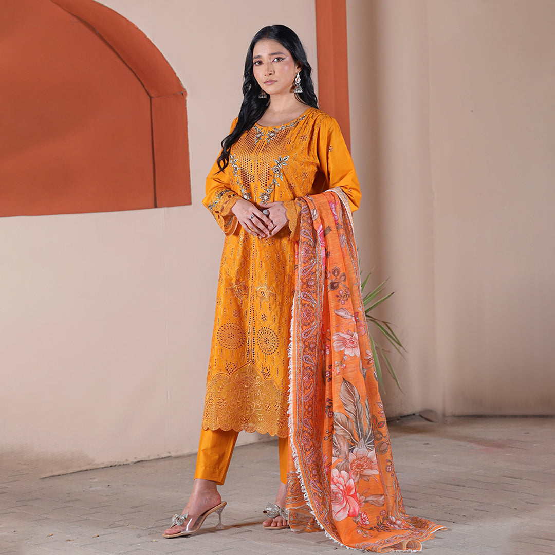 Embroidered Cotton Suit – Zarin