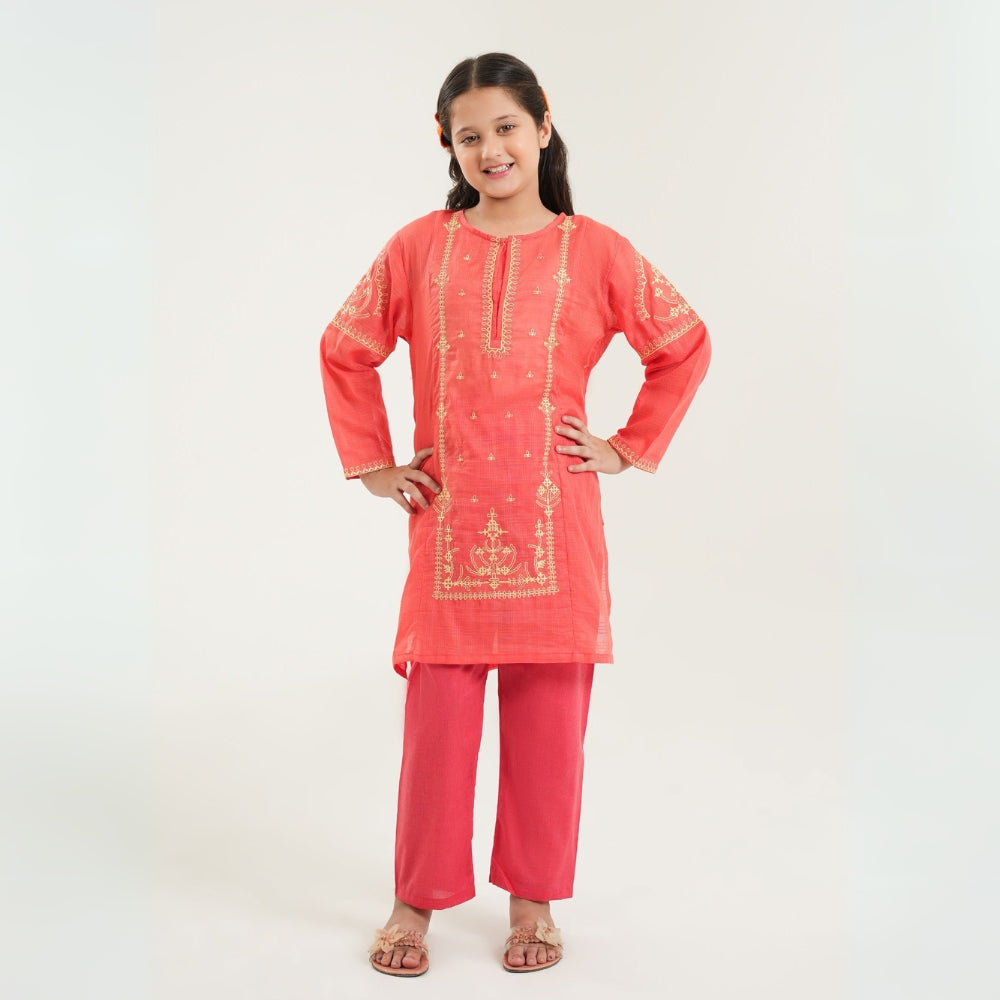 Stylish Embroidered Lawn Suit - CARROT