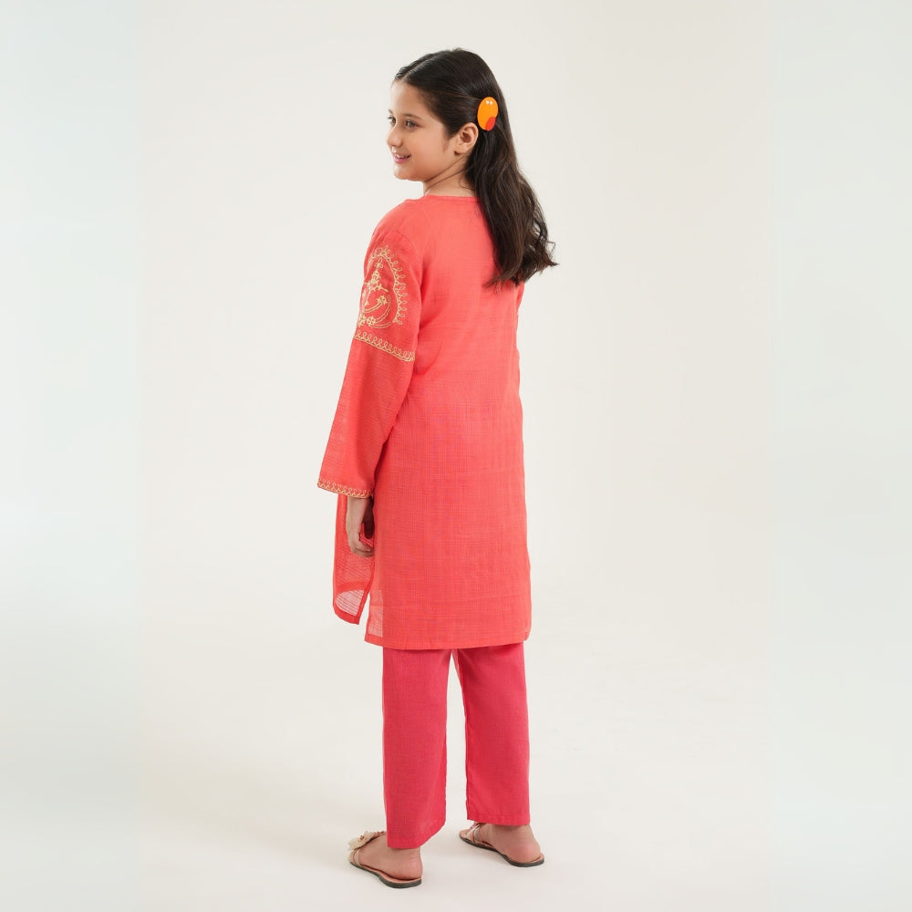Stylish Embroidered Lawn Suit - CARROT