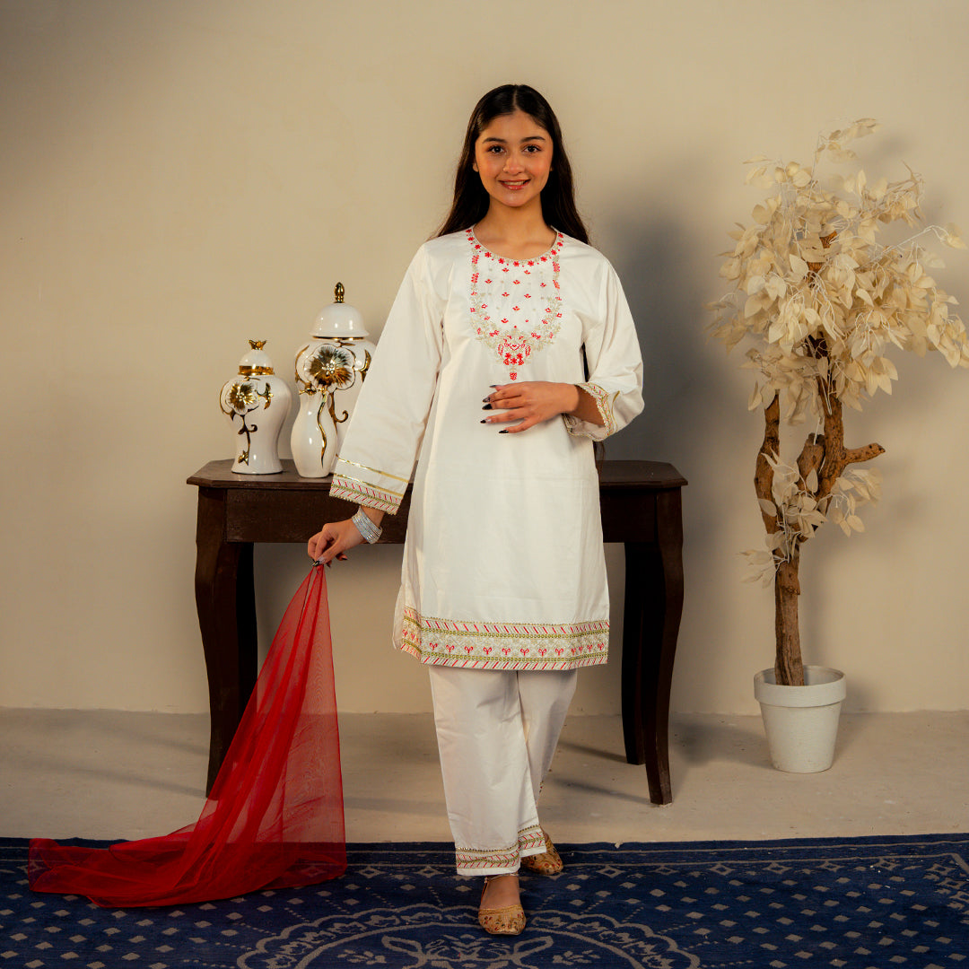Embroidered  Cotton Suit –Afsana