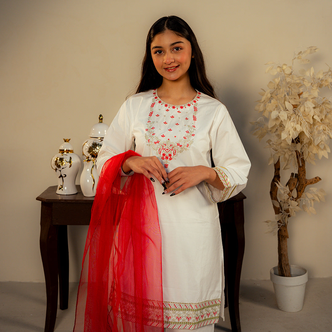 Embroidered  Cotton Suit –Afsana