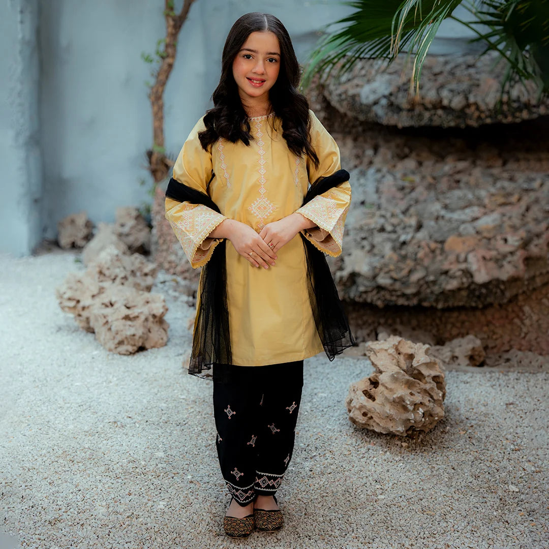 Embroidered  Cotton Suit –Zard