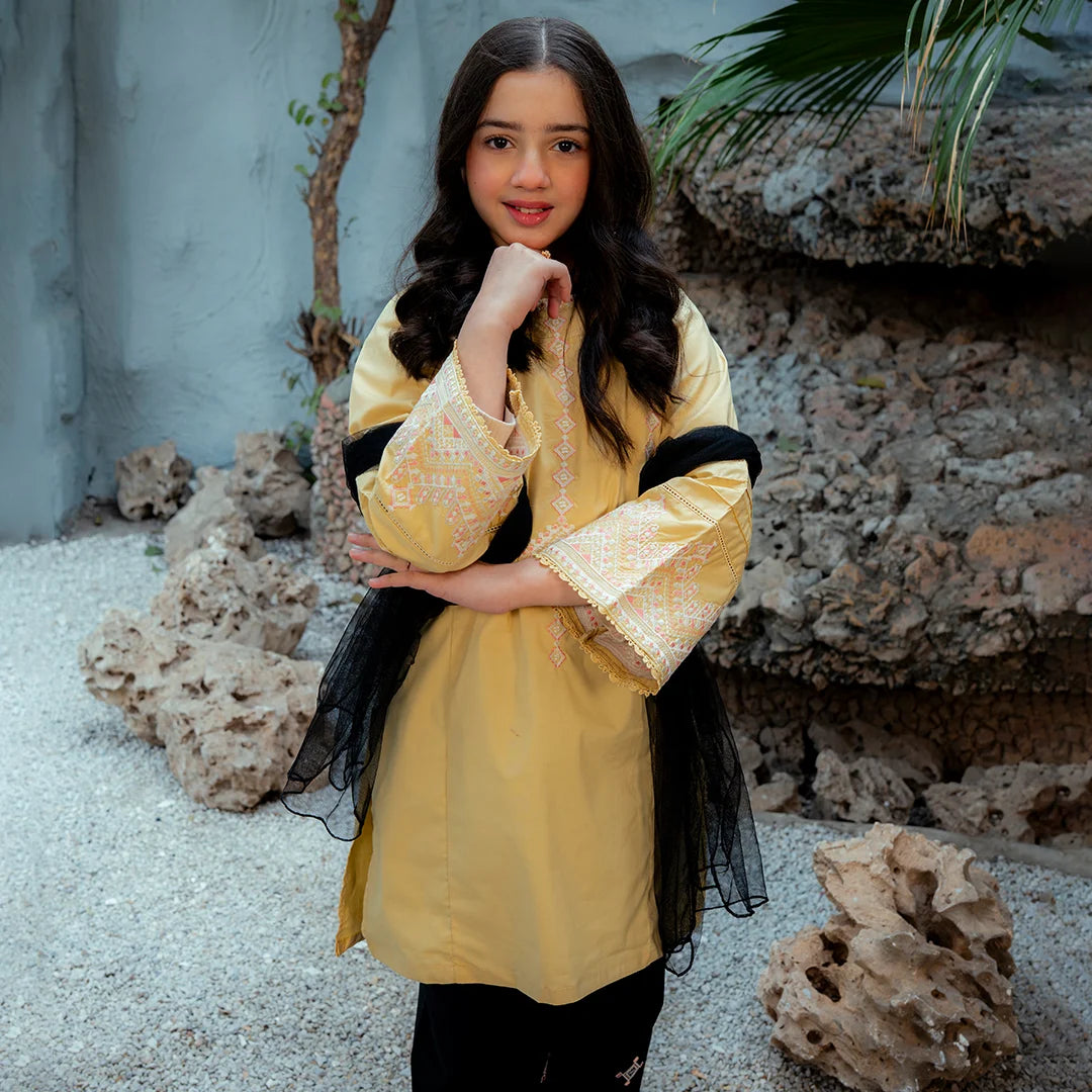 Embroidered  Cotton Suit –Zard