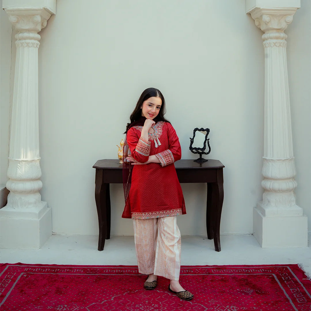 Embroidered Cotton Suit – Gulab