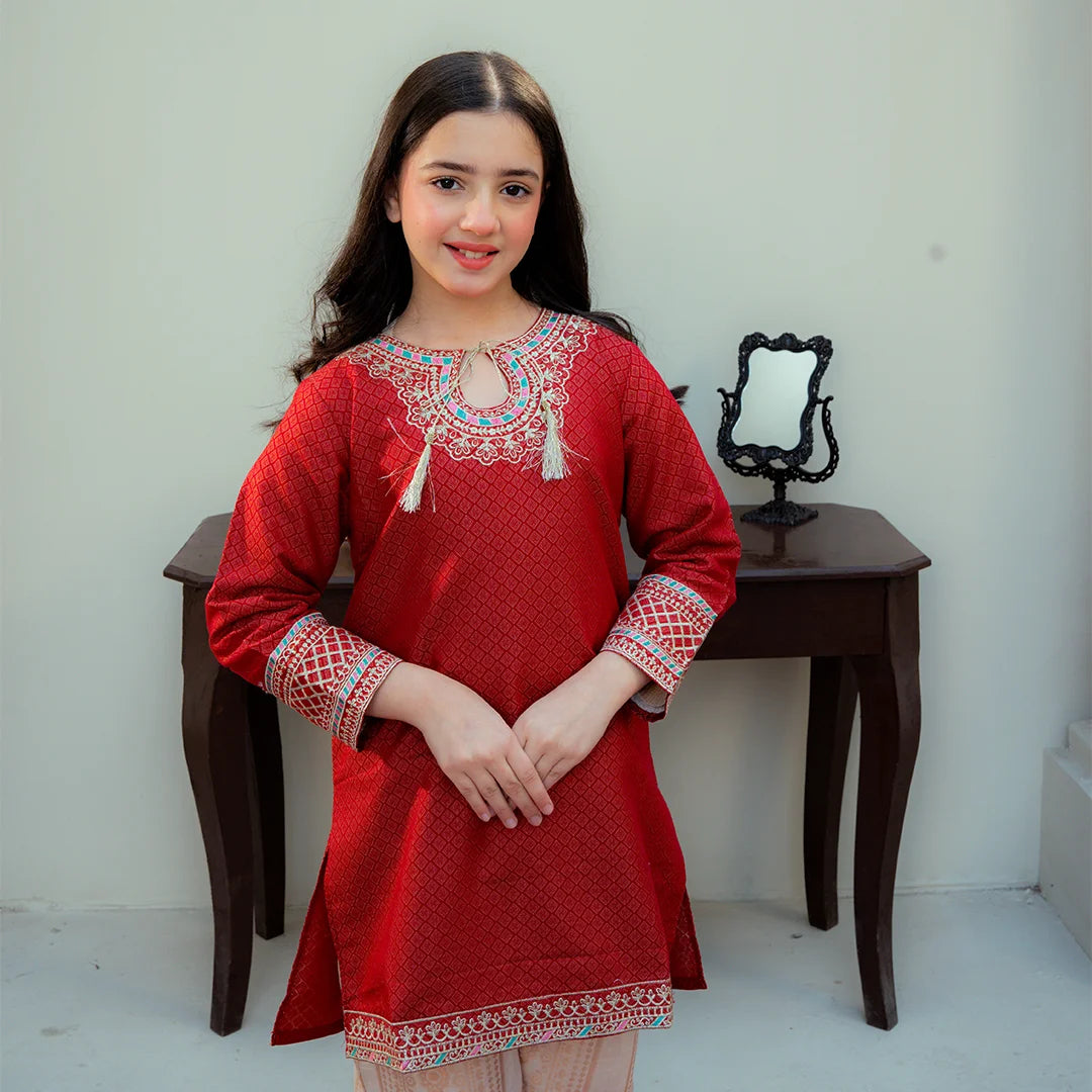 Embroidered Cotton Suit – Gulab