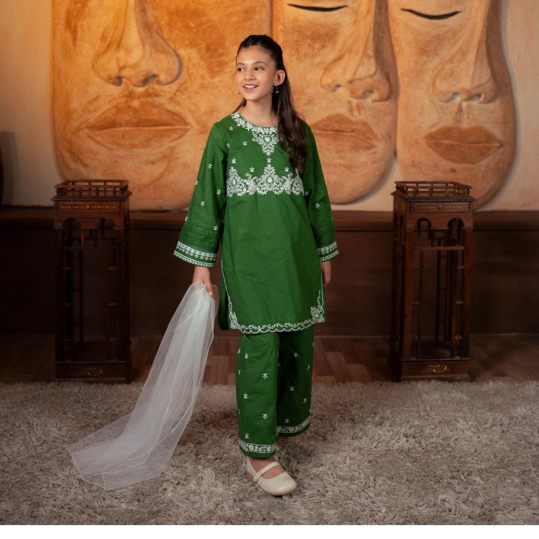Embroidered  Cotton Suit –Zaitoon
